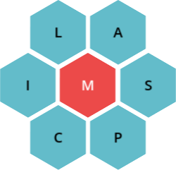 12 d’octubre de 2025 – Solucions del Paraulògic d’avui